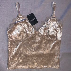 Nude Velvet & Lace Crop Top